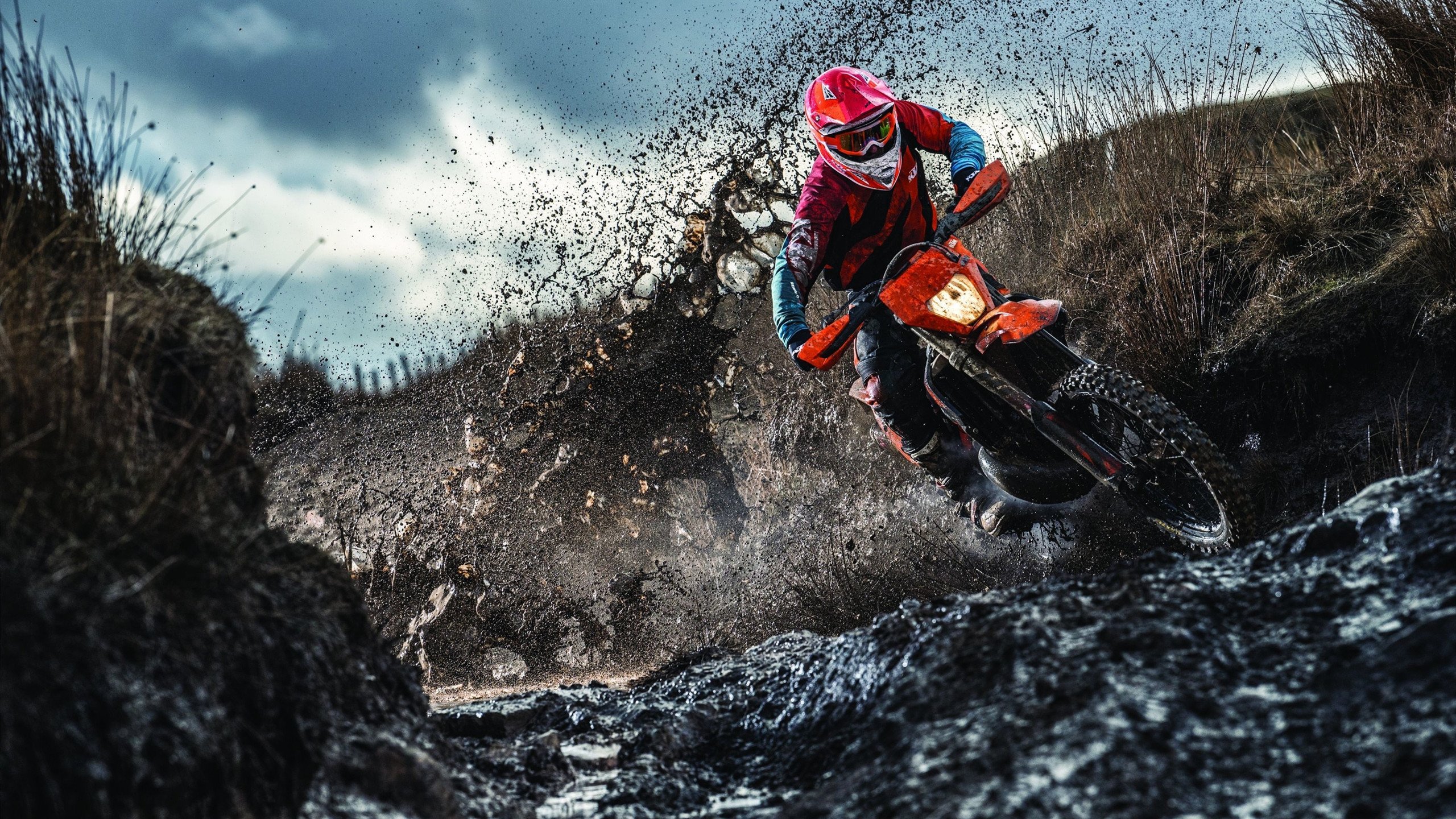 体育产业未来市场